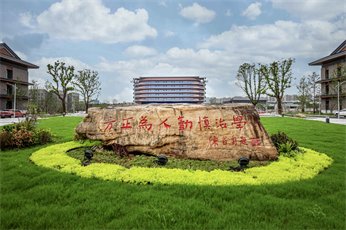 更多特蒙德携手bob在线官网公布官方