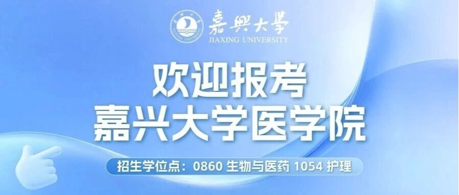 bobapp官网